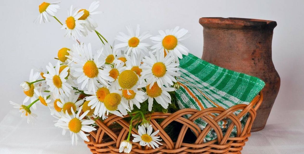 Cómo hacer un tónico facial con flores de manzanilla